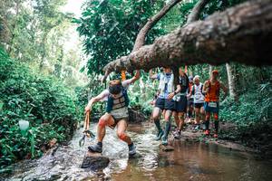 BIB: 
                            <button type="button" onclick="openModal(25371749)" class="btn btn-primary btn-sm float-right btn-popup" data-toggle="modal" data-target=".modal-high-quality">
                        <i class="fas fa-shopping-cart"></i> Add to Cart
                    </button>
                                            <button type="button" onclick="isThisMe(25371749, true)" class="btn btn-success btn-sm float-right btn-popup btn-isme hidden" data-toggle="tooltip" data-placement="bottom" title="นี่คือรูปของคุณใช่ไหม คลิกที่นี่เพื่อเอาเข้าอัลบั้ม">
                        <i class="fas fa-plus"></i> Add to album
                    </button>
                    <button type="button" onclick="isThisMe(25371749, false)" class="btn btn-warning btn-sm float-right btn-popup btn-isnotme hidden">
                        <i class="fas fa-ban"></i> Remove from album
                    </button>